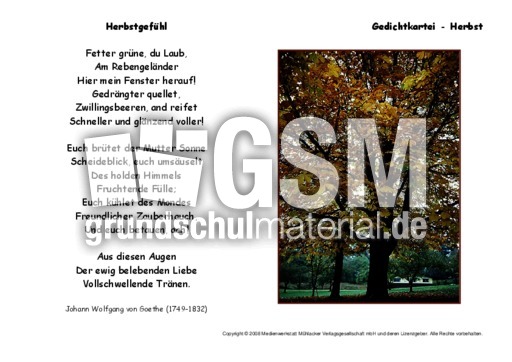 Herbstgefühl-Goethe-B.pdf